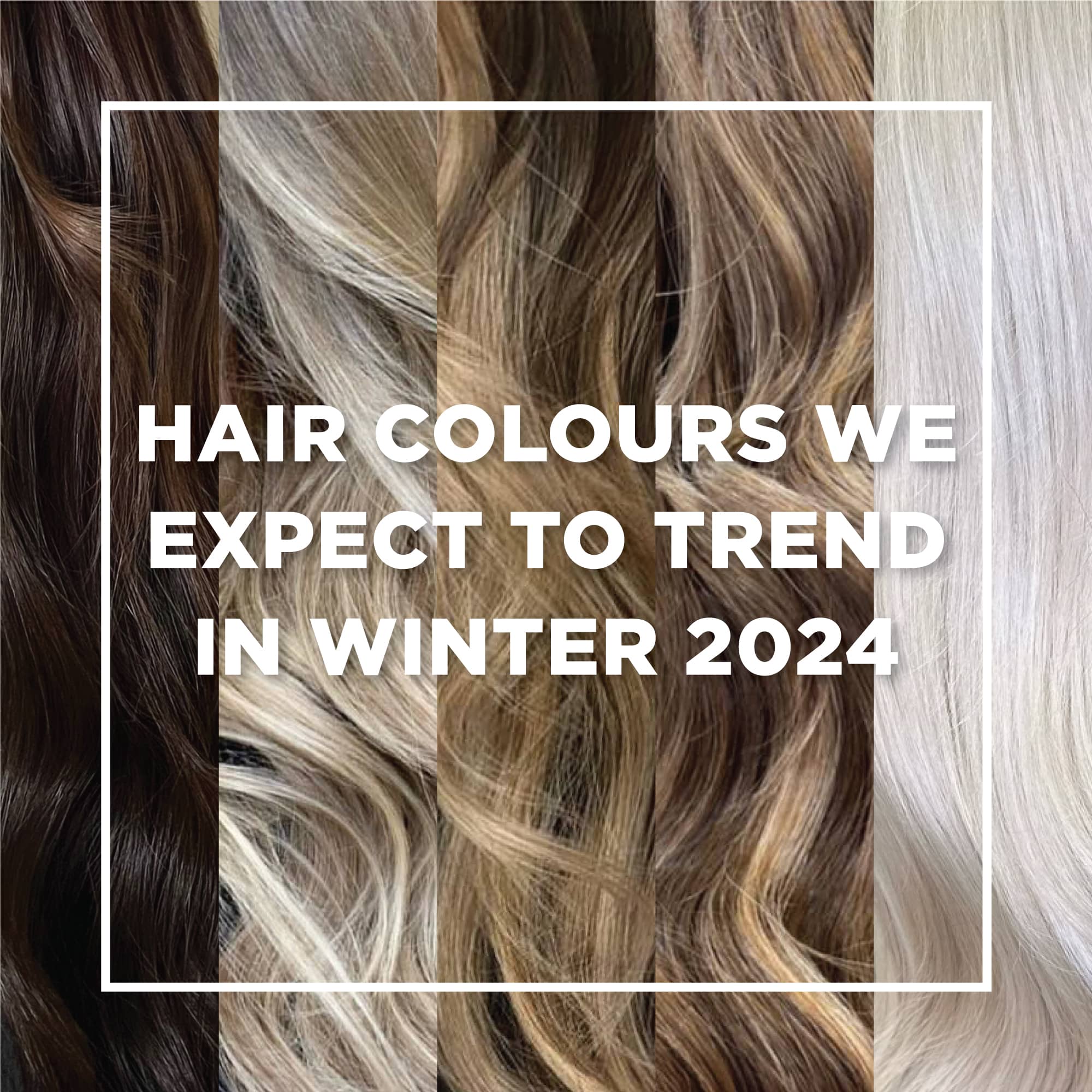 Hair Colours We Expect To Trend In Winter 2024