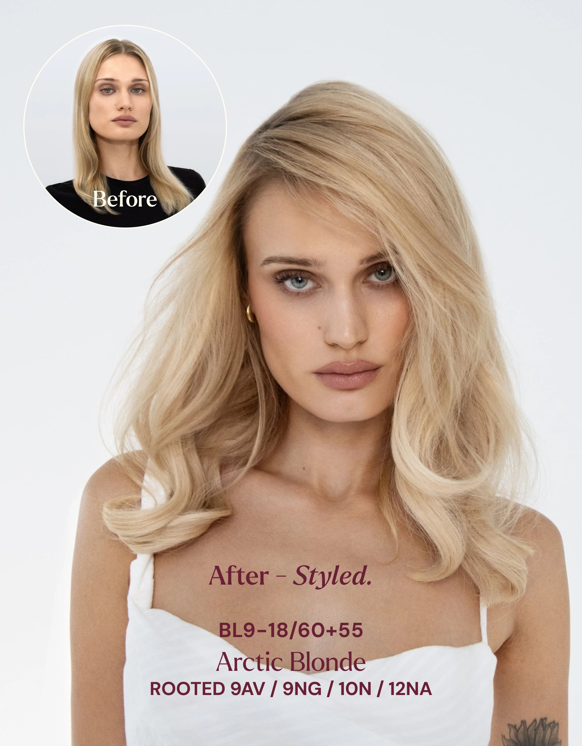 BL2-5+20