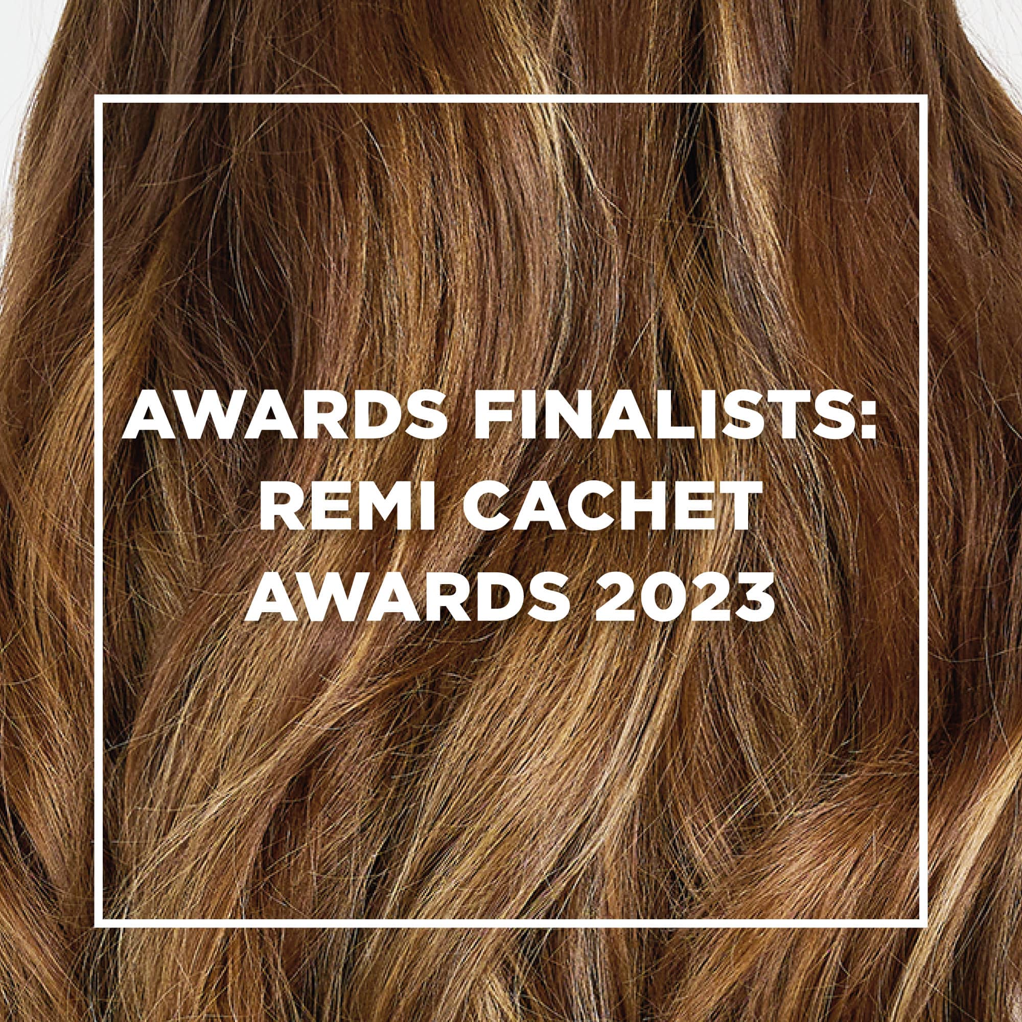 Remi Cachet Awards 2023: The Finalists