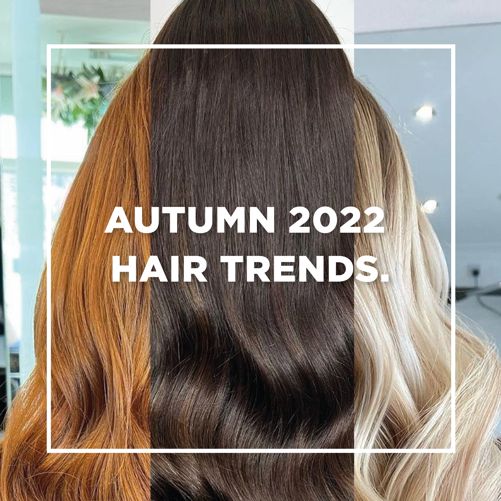 Hair Colours We Expect To Trend In Autumn 2022