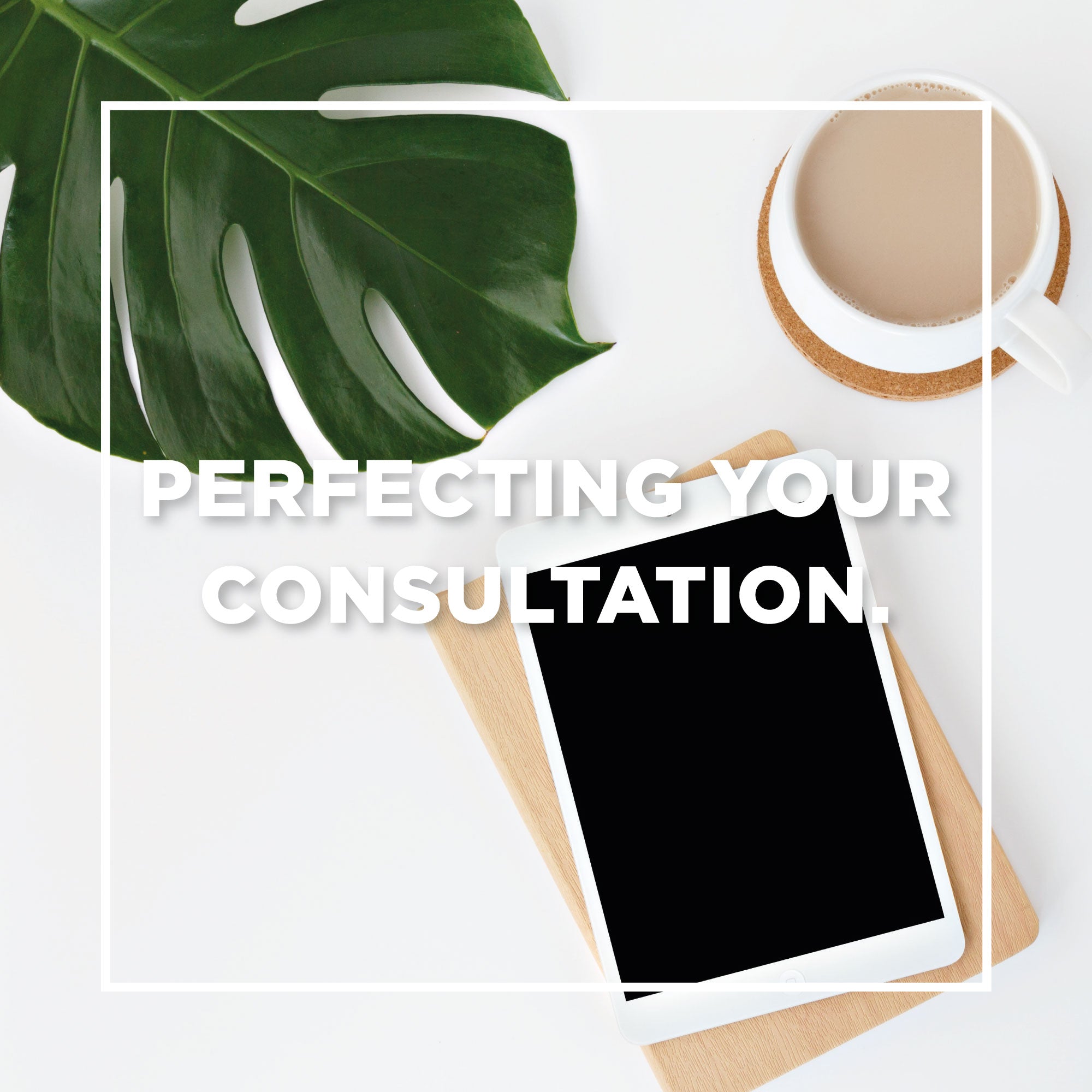 Perfecting Your Consultation