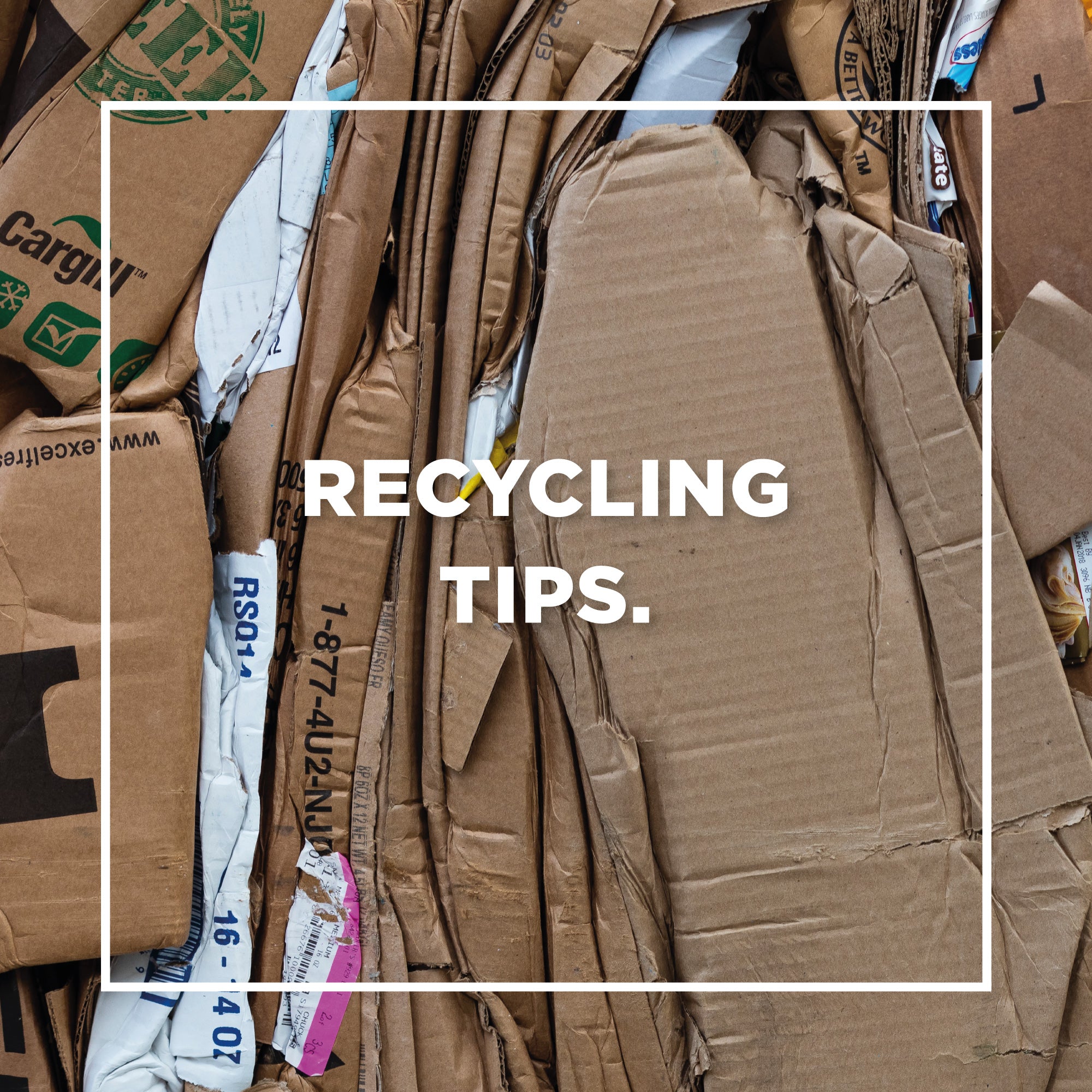 7 Recycling Tips Recycle Week