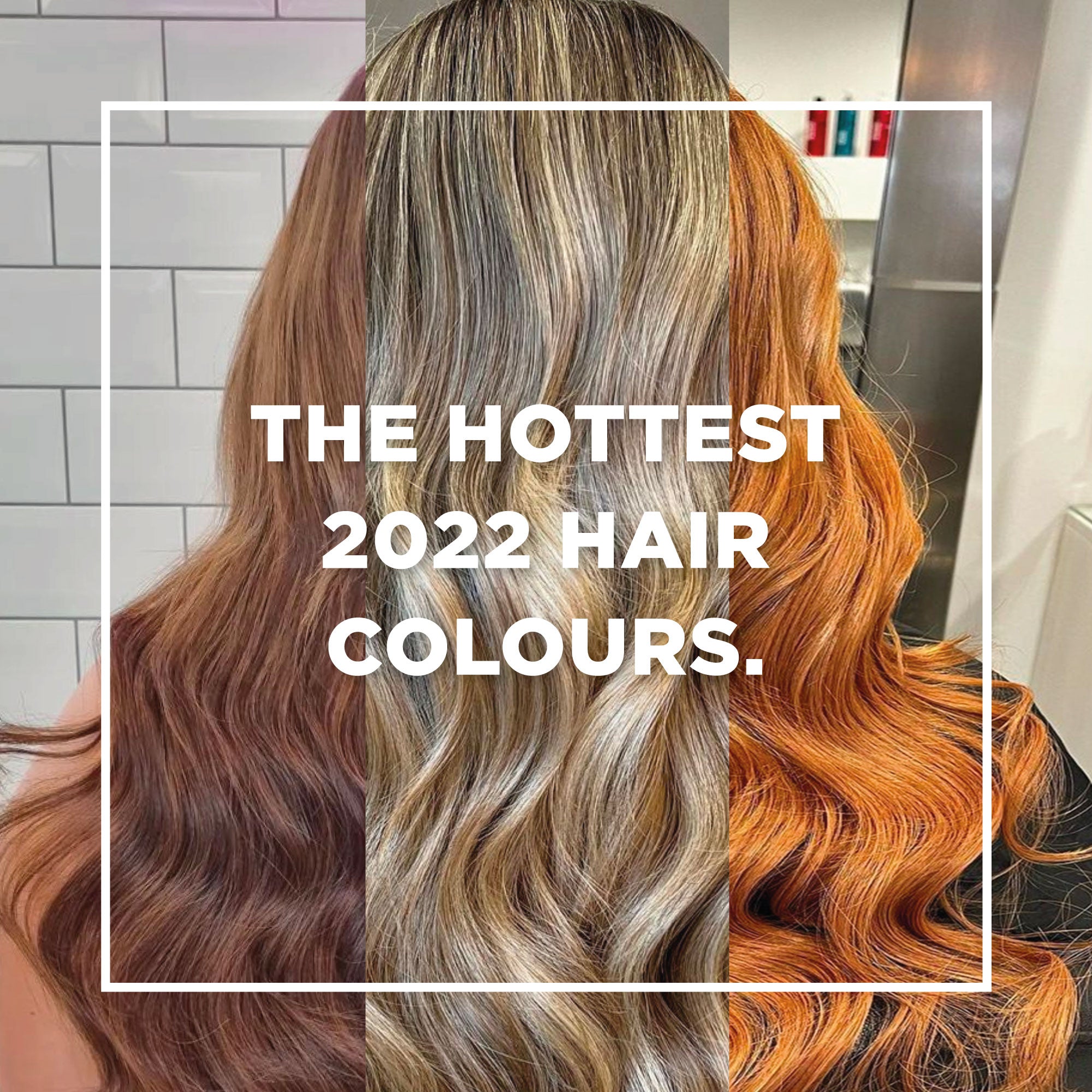 The Hottest 2022 Hair Colours