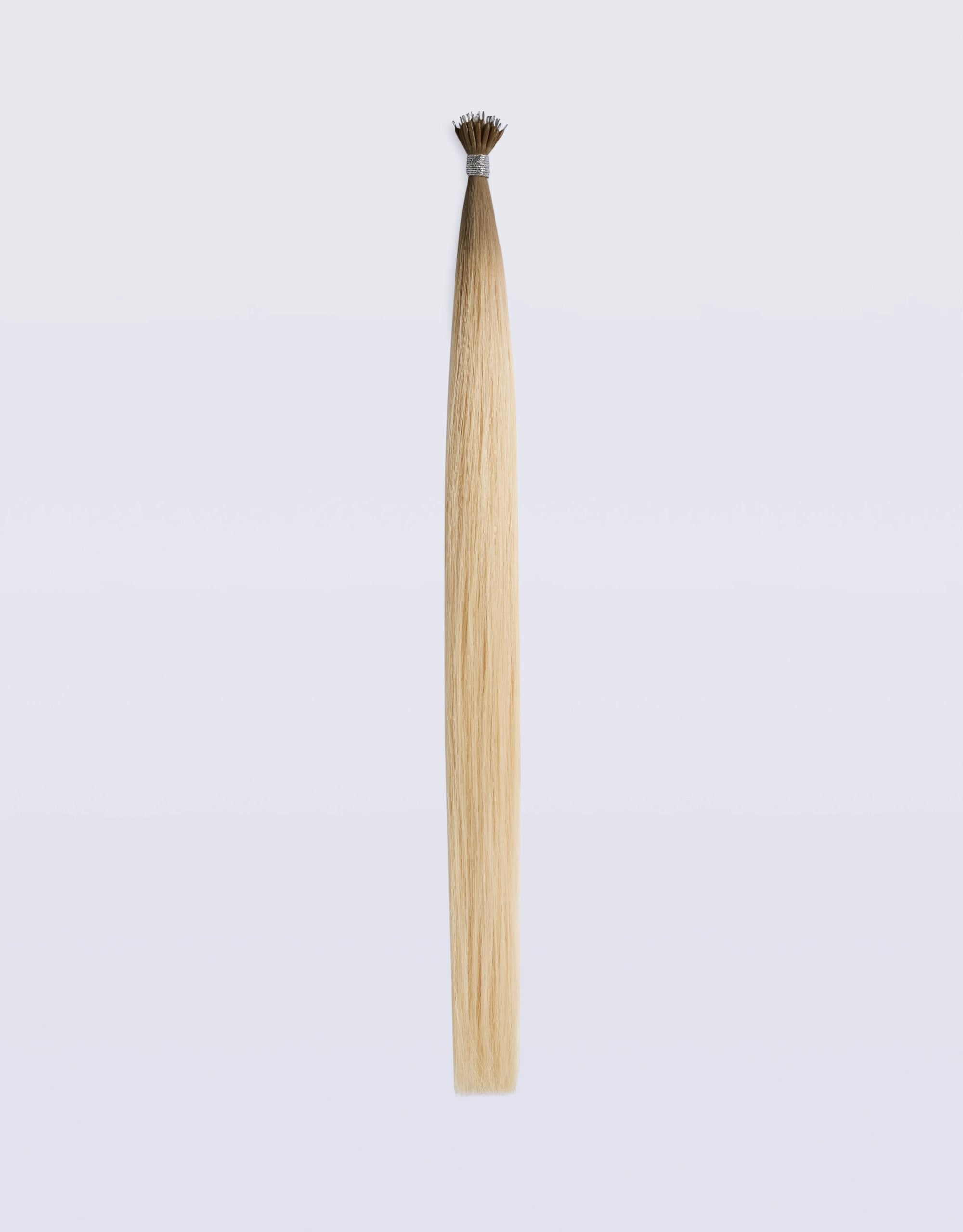 T5/20